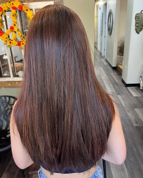 Long sleek brunette result photographed from the back