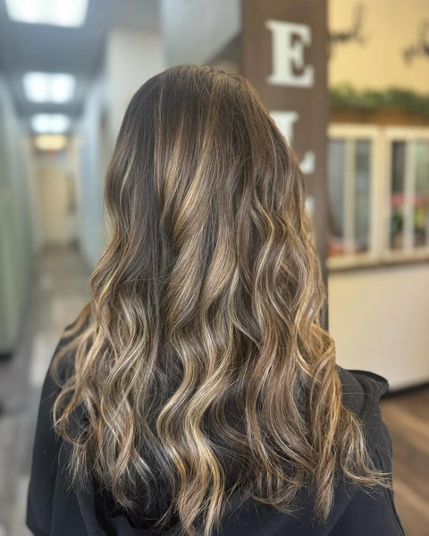 Warm dimensional brunette salon result photographed from the back