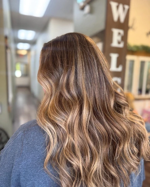 Dimensional brunette salon result photographed from the back